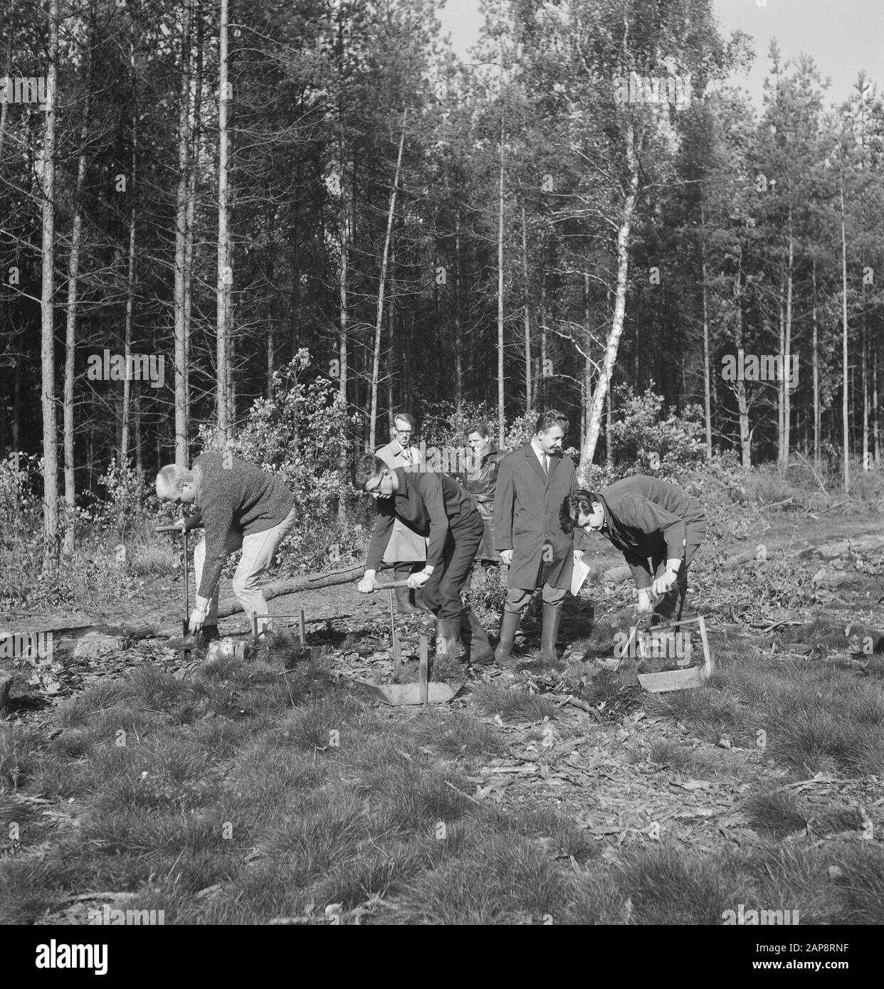 Silvicoltura, lavoratori, utensili, vassoi, trivellazione Data: Parole Chiave non utilizzate: Lavoratori, vassoi, silvicoltura, utensili, trivellazione Foto Stock