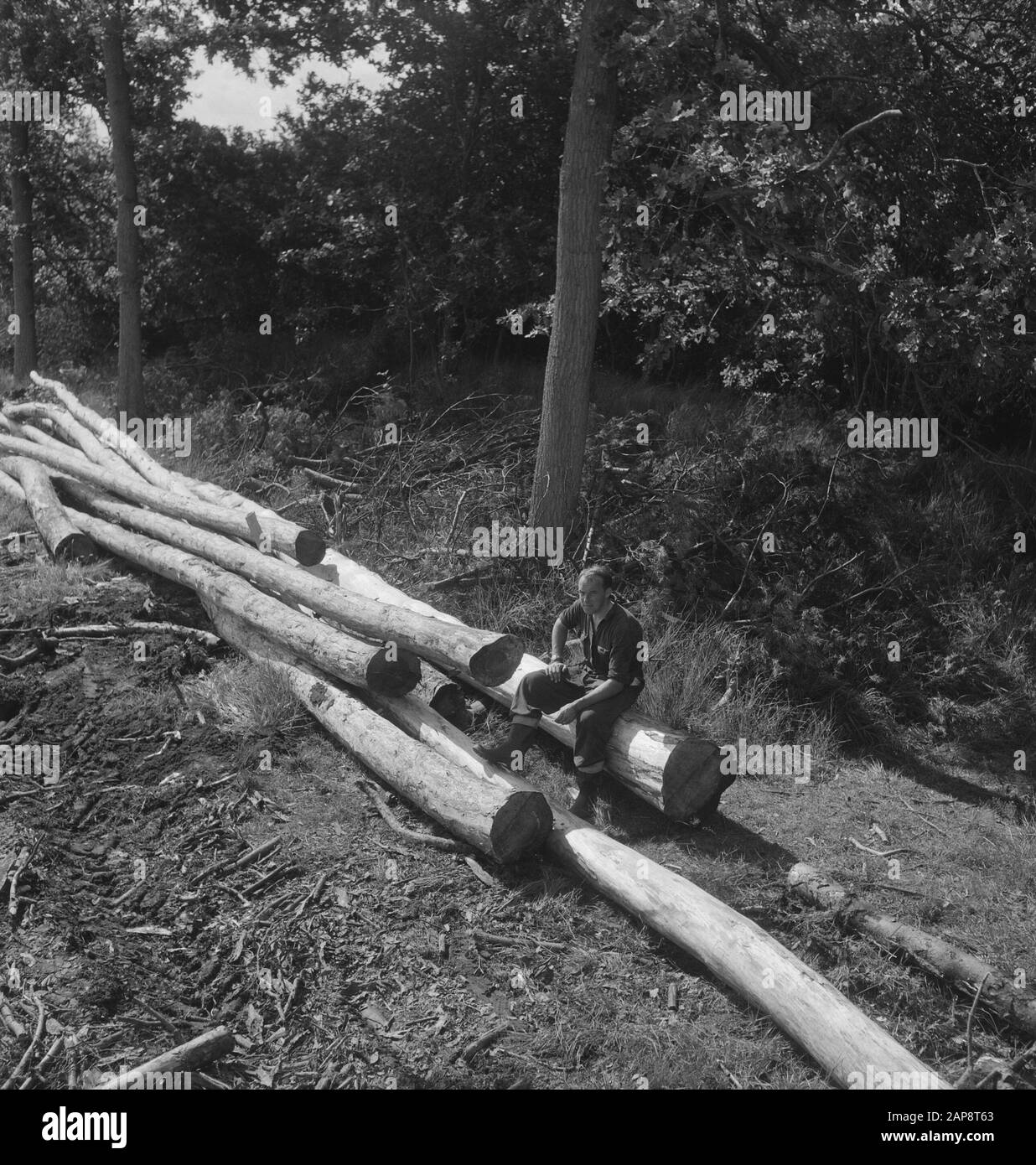 Legno, lavoratori, tronchi, Data di seduta: Parole Chiave non date: Operai, tronchi d'albero, legno, seduto Foto Stock