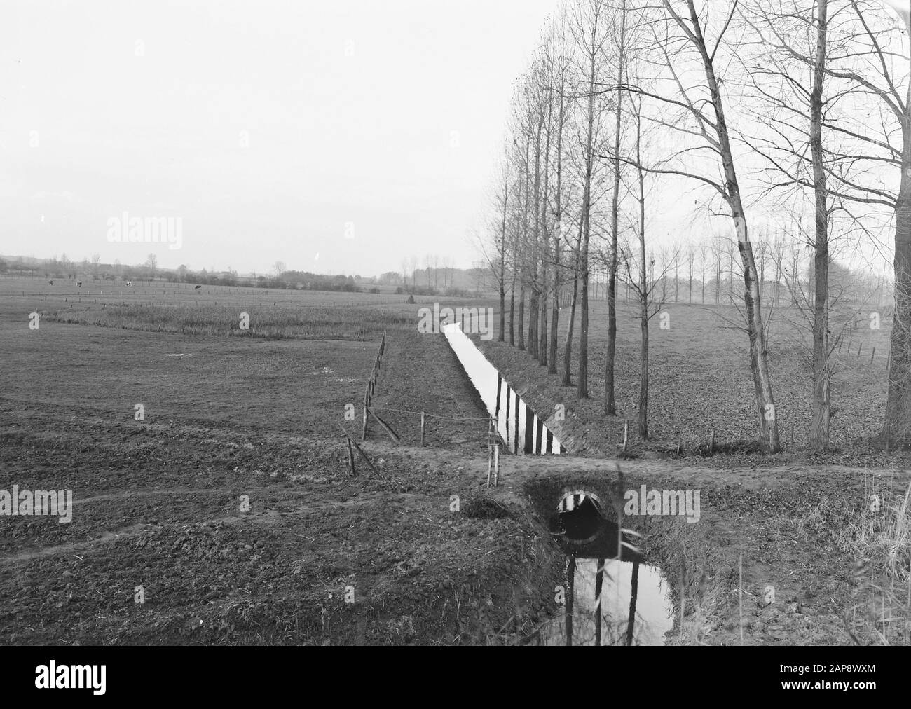 Scarico acqua pulita Data: Parole Chiave non utilizzate: Pulizia acque reflue, trattamento rifiuti urbani, drenaggio acque Nome personale: Voorstondense brook Foto Stock