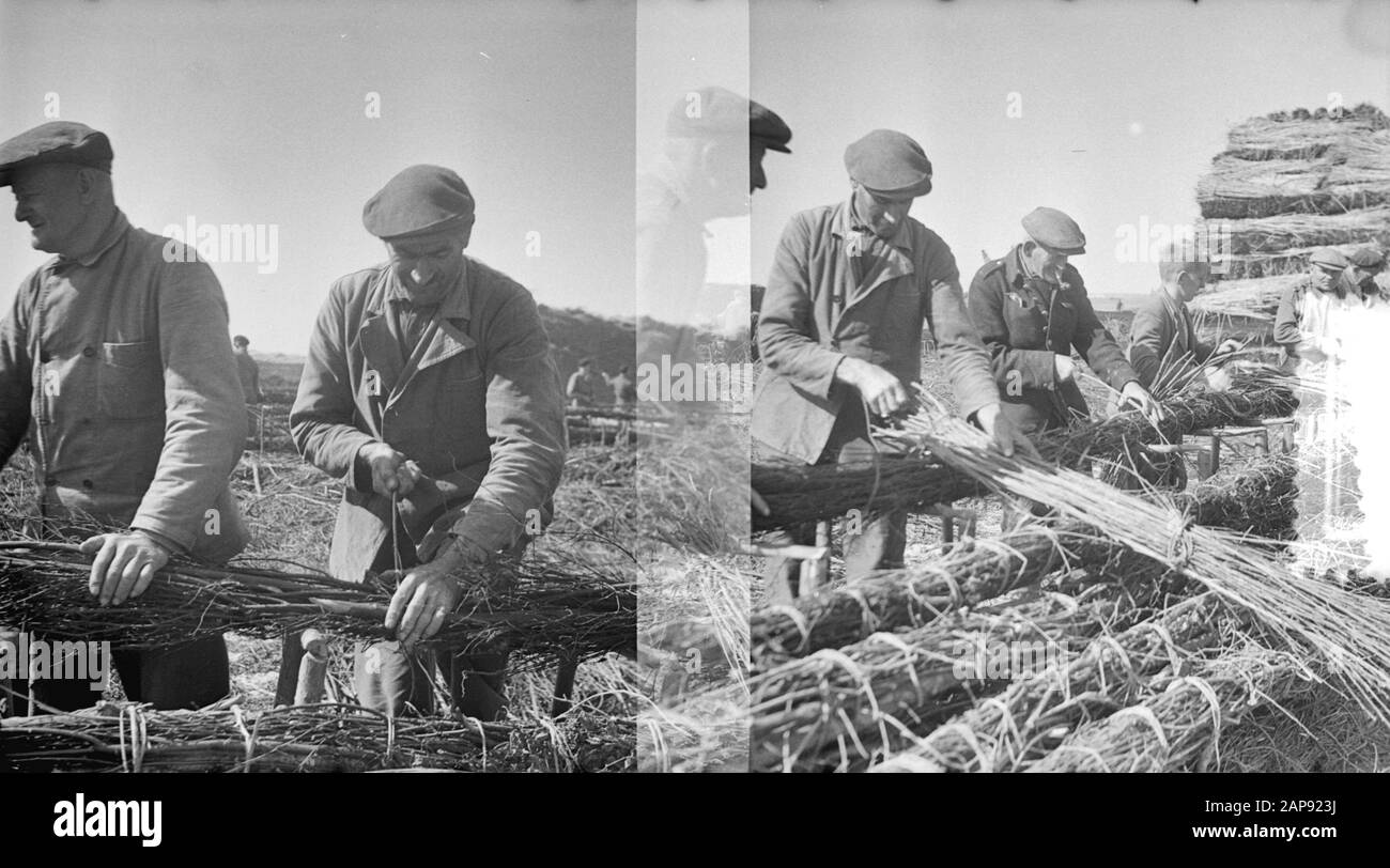Lo Schelphoek Su Schouwen. Film Making zinco pieces/Two negatives Data: 9 luglio 1953 luogo: Schouwen-Duiveland, Zeeland Parole Chiave: ZINKPIELS Foto Stock