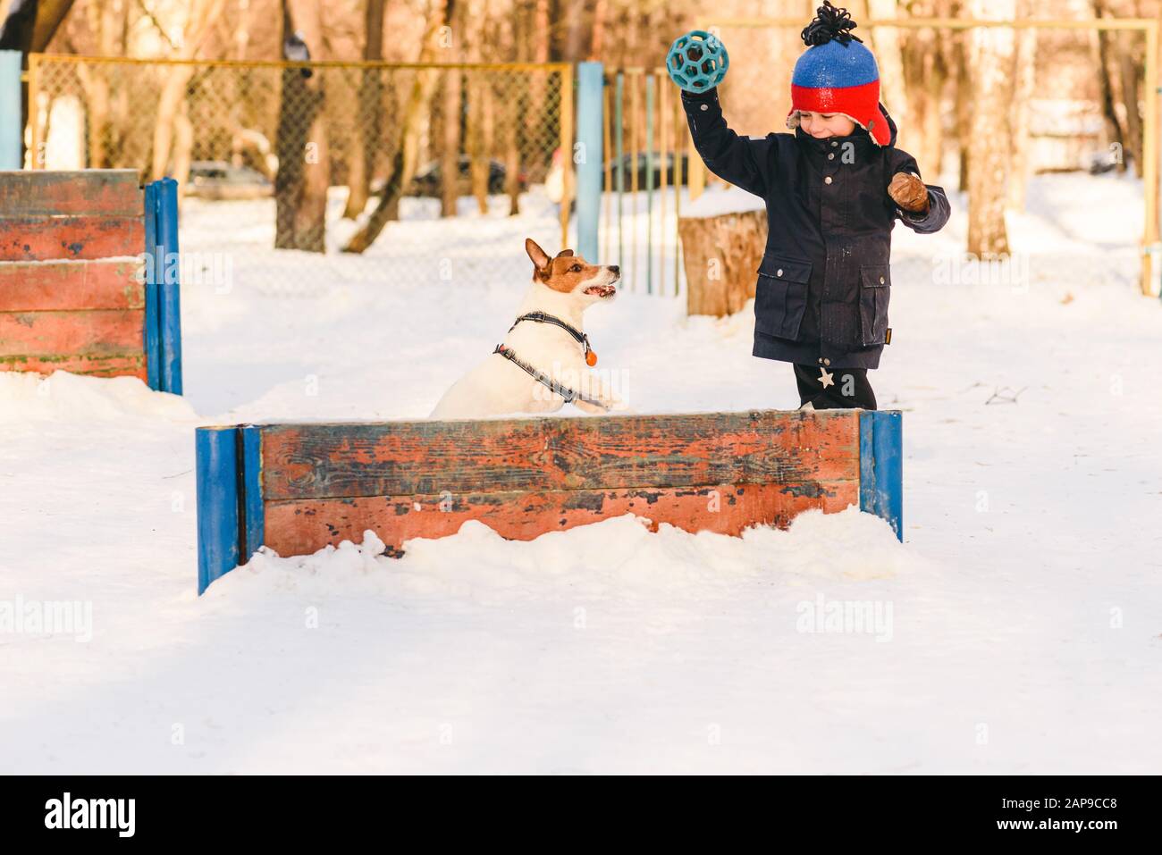 Attività invernali all'aperto con concetto di cane - giovane proprietario formazione e giocare con il cane in off-leash cane parco Foto Stock