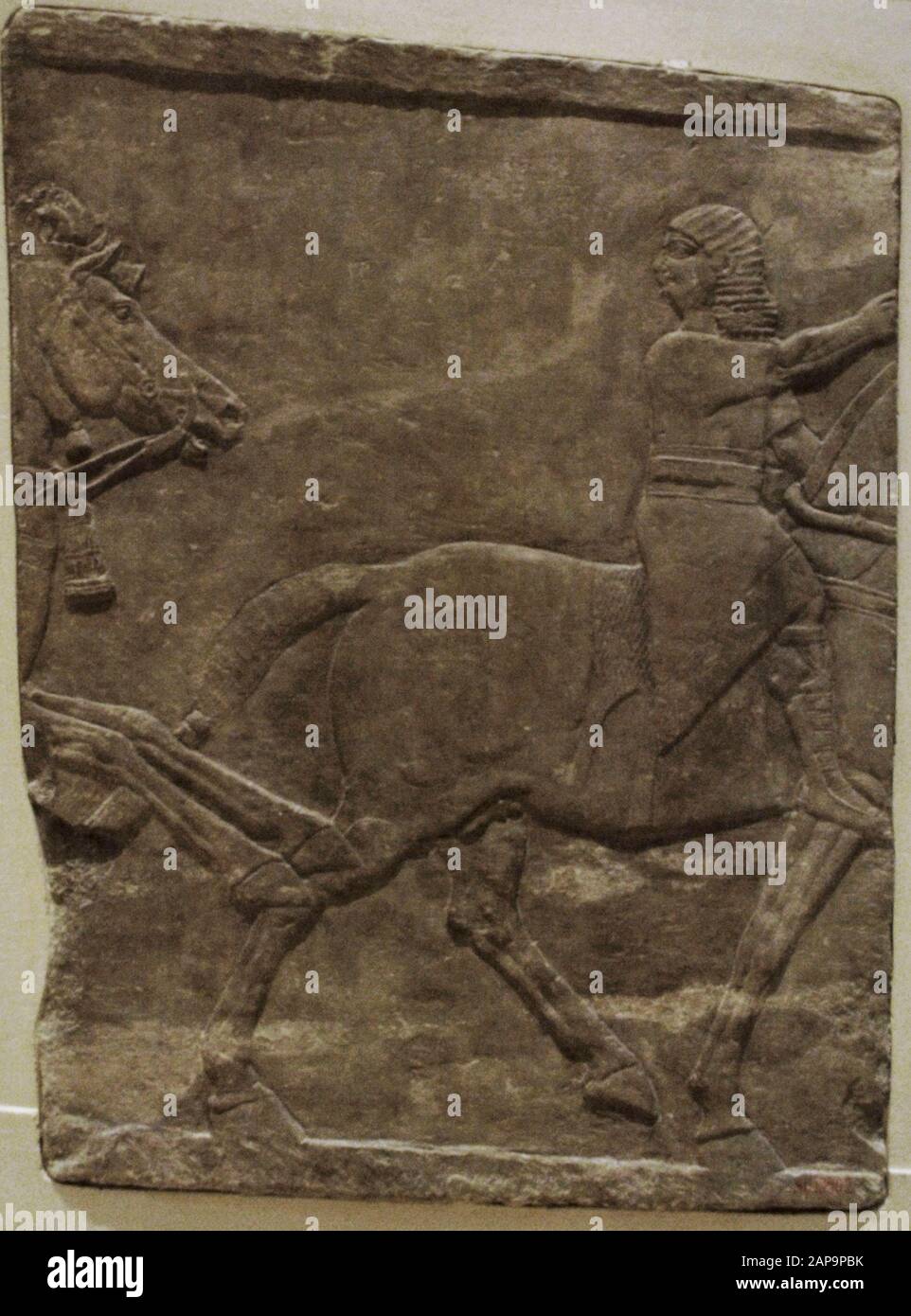 Assiri. Palazzo di Ninive. 7th secolo a.C. Rilievo raffigurante un cavaliere a cavallo. Accesso alla rampa del Museo del Louvre. Parigi. Foto Stock