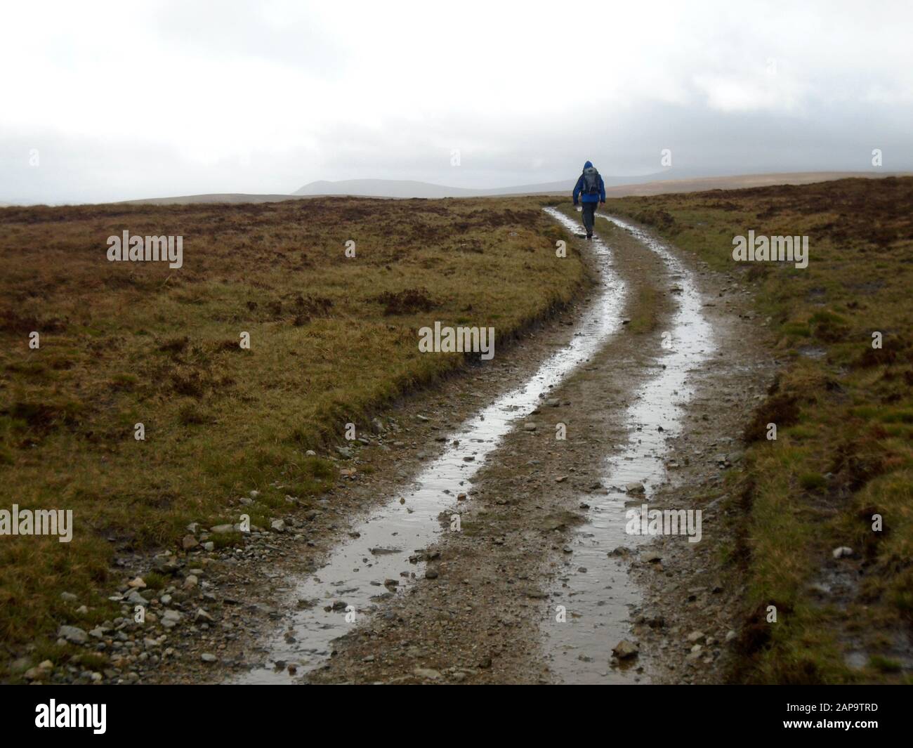 Lone Man Walking On The Cumbria Way Path From The Wainwright "High Pike" Caldbeck Fells, Moseddale, Lake District National Park, Cumbria, Inghilterra, Regno Unito. Foto Stock