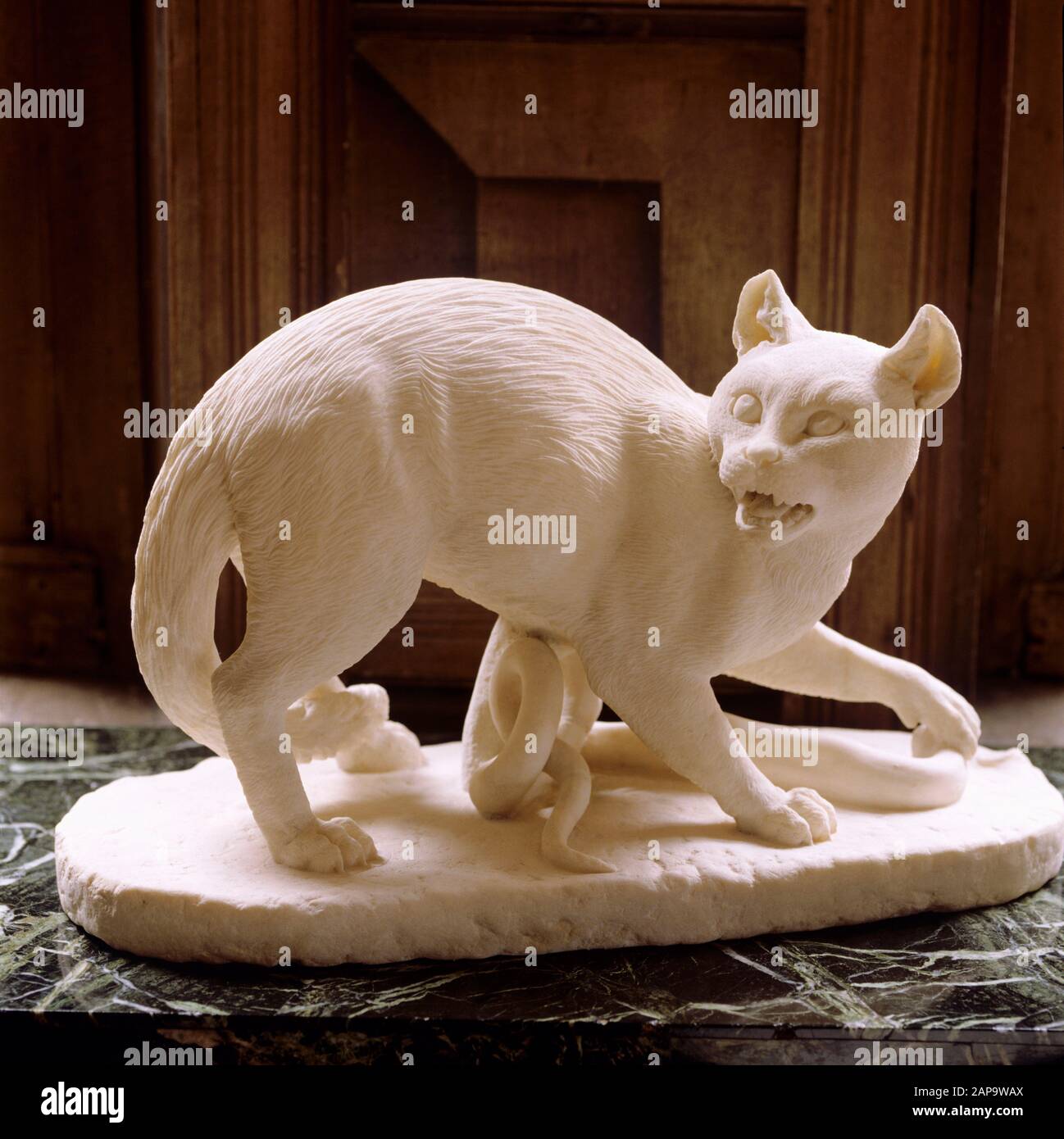 Primo piano dettaglio di Clive del gatto indiano Che Uccide serpente nella Long Gallery al Powis Castle. La scultura in marmo romano risale al primo secolo a.C. Foto Stock