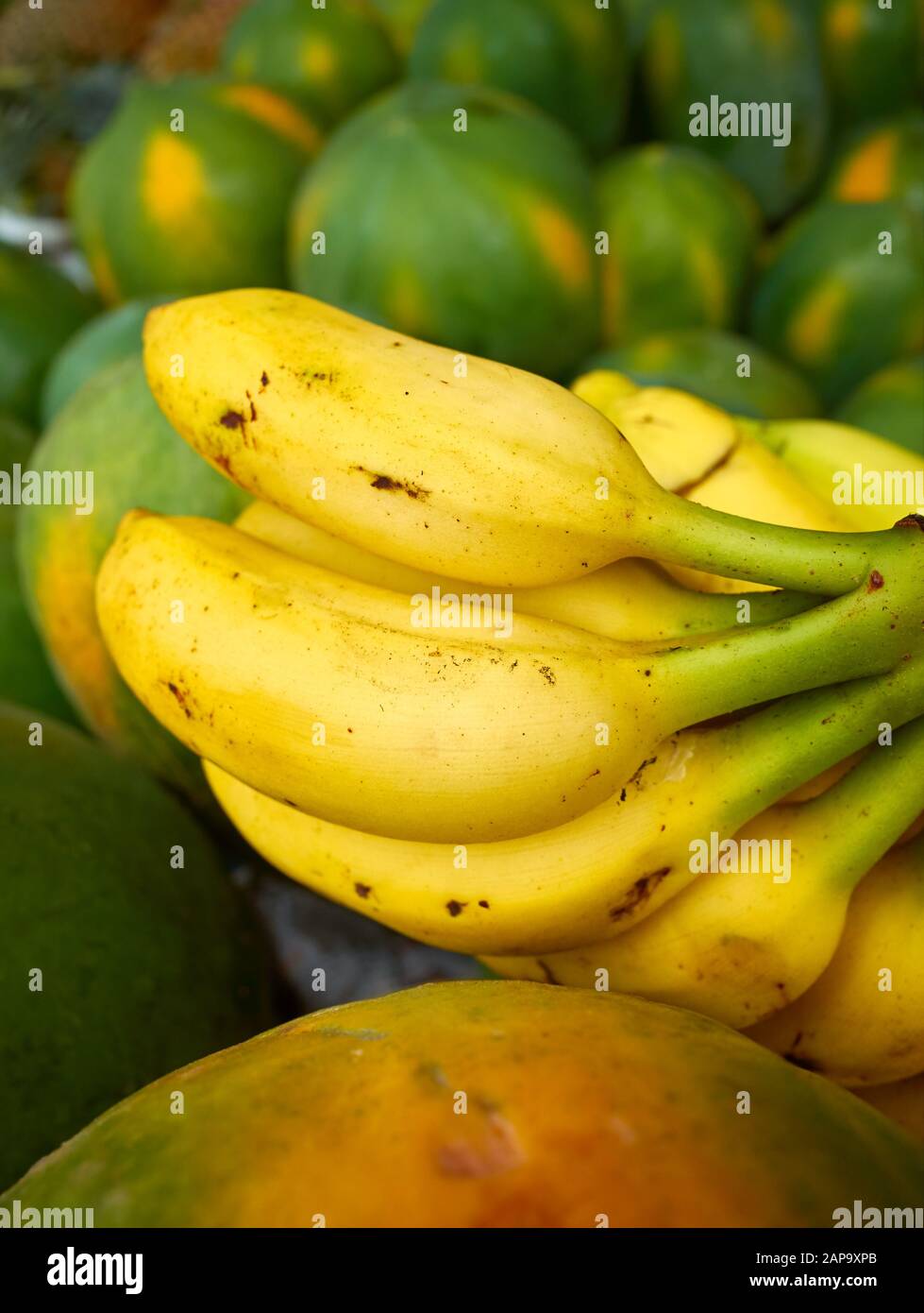 Primo piano immagine di banane mature tra papaie su un mercato locale, fuoco selettivo. Foto Stock