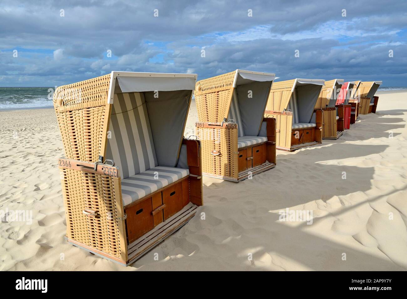 Una sedia da spiaggia rossa tra una fila di sedie da spiaggia beige su una spiaggia di sabbia, Sylt, North Frisian Island, North Frisia, Schleswig-Holstein, Germania Foto Stock