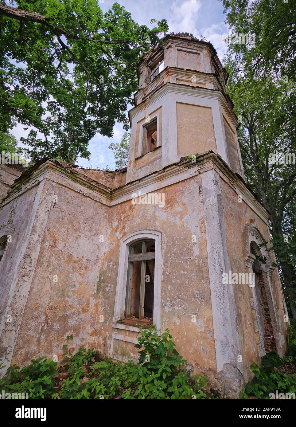 Vecchio abbandonato la Chiesa di San Nicola ruderi in Estonia. Il lussureggiante fogliame degli alberi e foreste che coprono la bellezza di questo antico edificio rovinato. Foto Stock