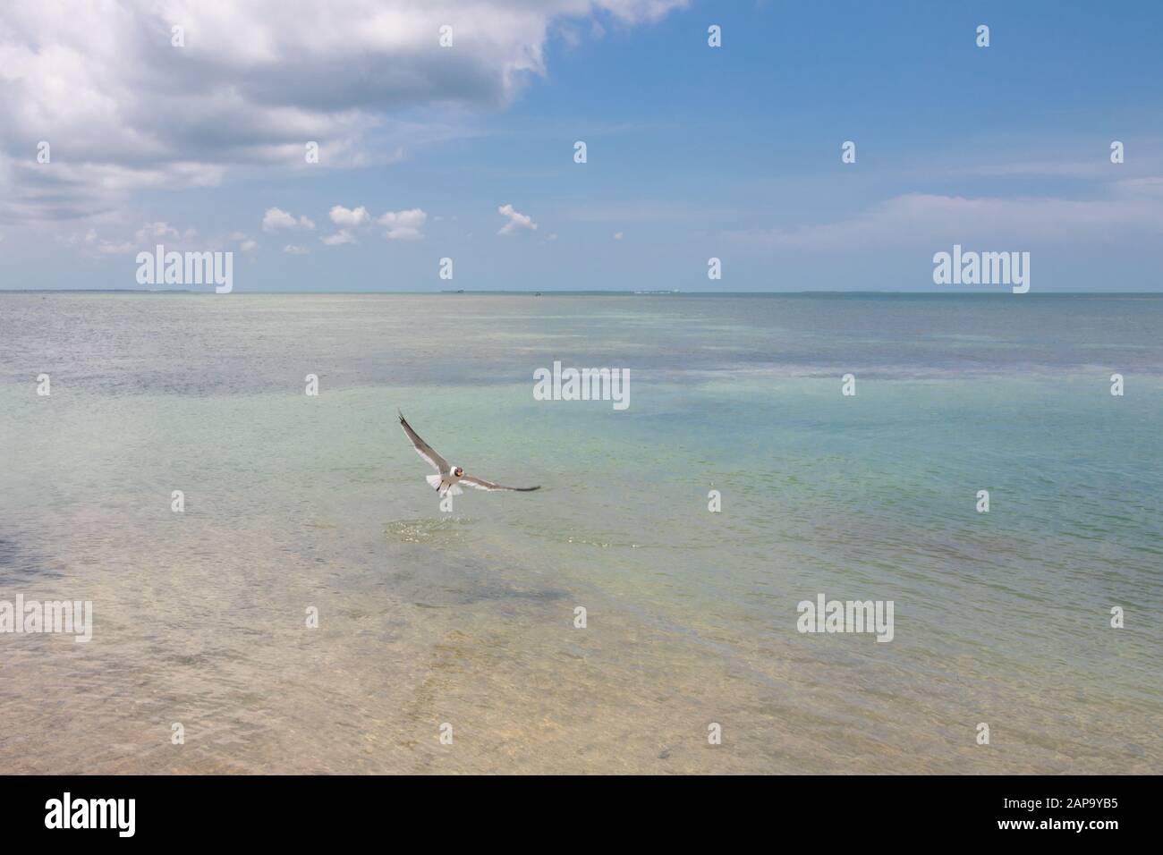 keys island florida, sette miglia ponte Foto Stock