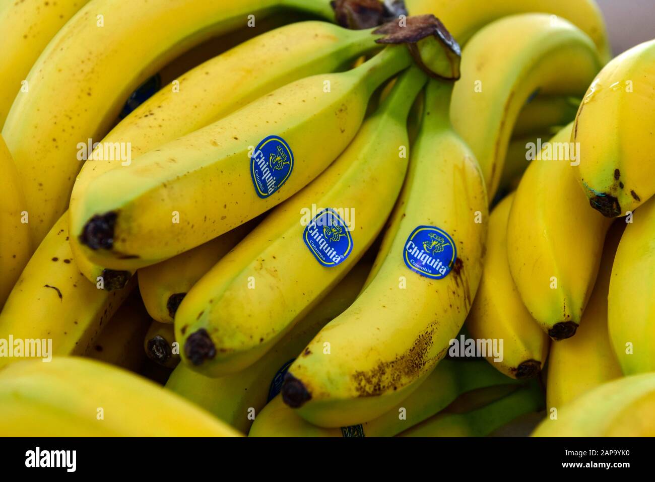 Banane Chiquita, Basilea, Svizzera Foto Stock