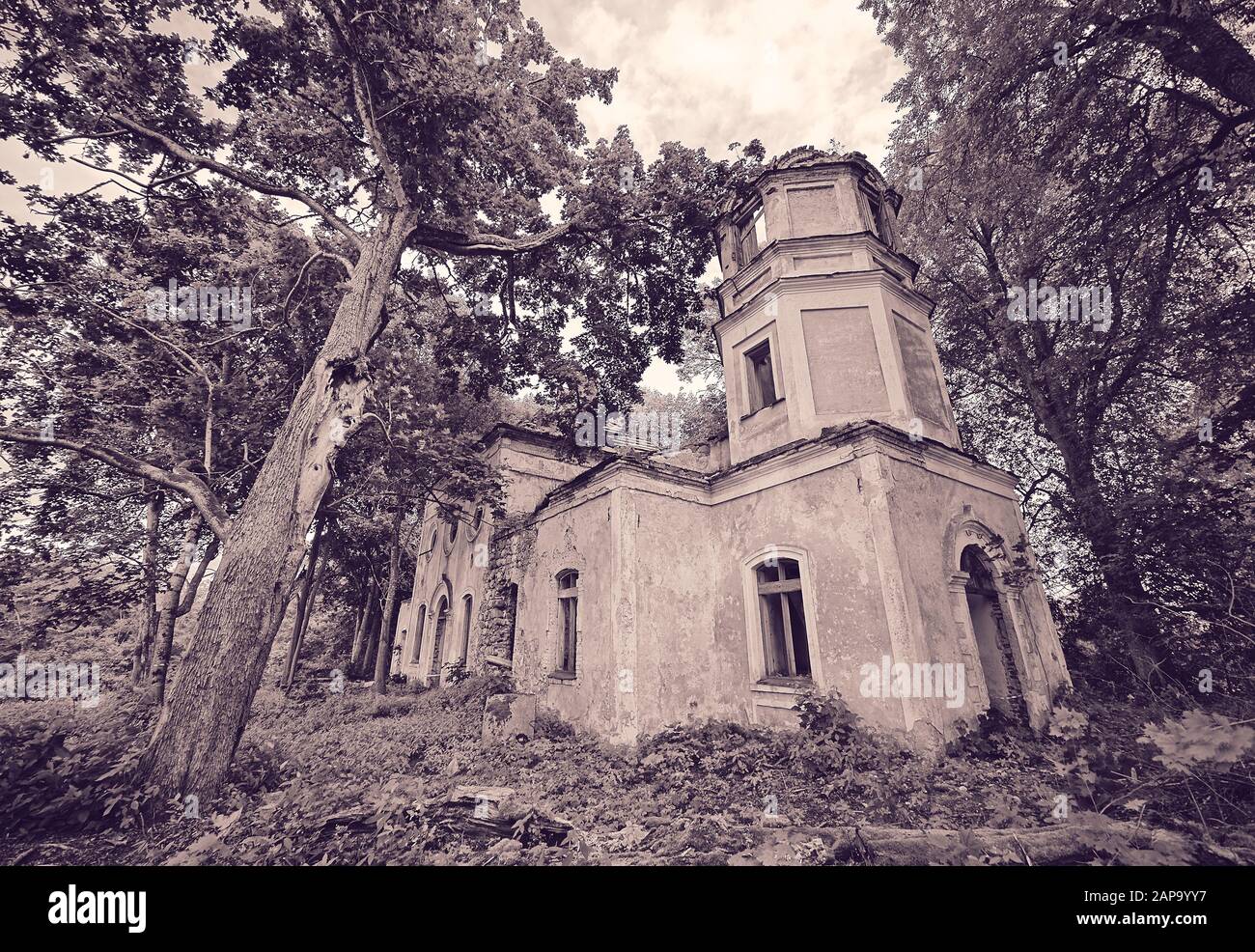 Vecchio abbandonato la Chiesa di San Nicola ruderi in Estonia. Il lussureggiante fogliame degli alberi e foreste che coprono la bellezza di questo antico edificio rovinato. Foto Stock