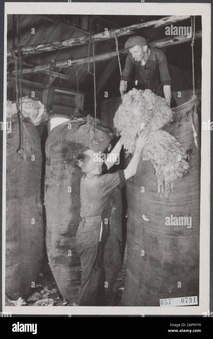 Farmers, Textile, trade, dutch wool Federation Data: 4 settembre 1951 Parole Chiave: Farmers, trade, textile Nome del prodotto: Dutch wool Federation Foto Stock