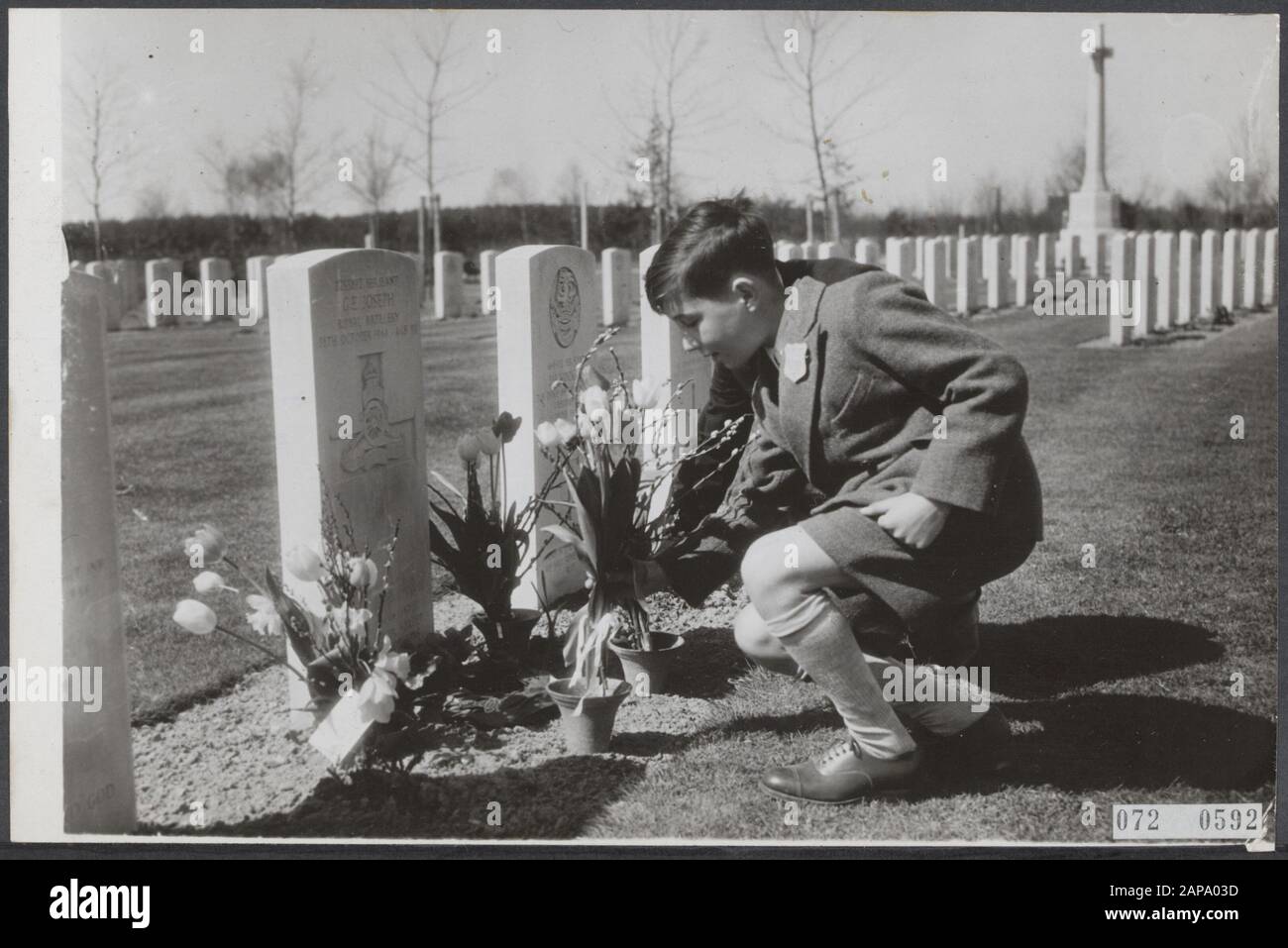Visita dei bambini britannici nel nostro paese, il cui padre è morto qui durante la seconda guerra mondiale Lunedì i bambini hanno visitato le tombe dei loro padri in varie città e villaggi dei Paesi Bassi. Un ragazzo britannico depone fiori sulla tomba di suo padre [G.E. Joseph] a Nijmegen Data: 17 aprile 1955 luogo: Nijmegen Parole Chiave: Cimiteri, fiori, tombe, commemorazioni, bambini, Seconda guerra mondiale Foto Stock