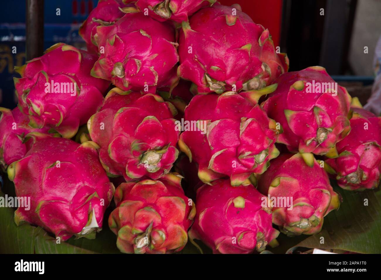 Frutti di drago, Thailandia frutti di libra freschi Foto Stock