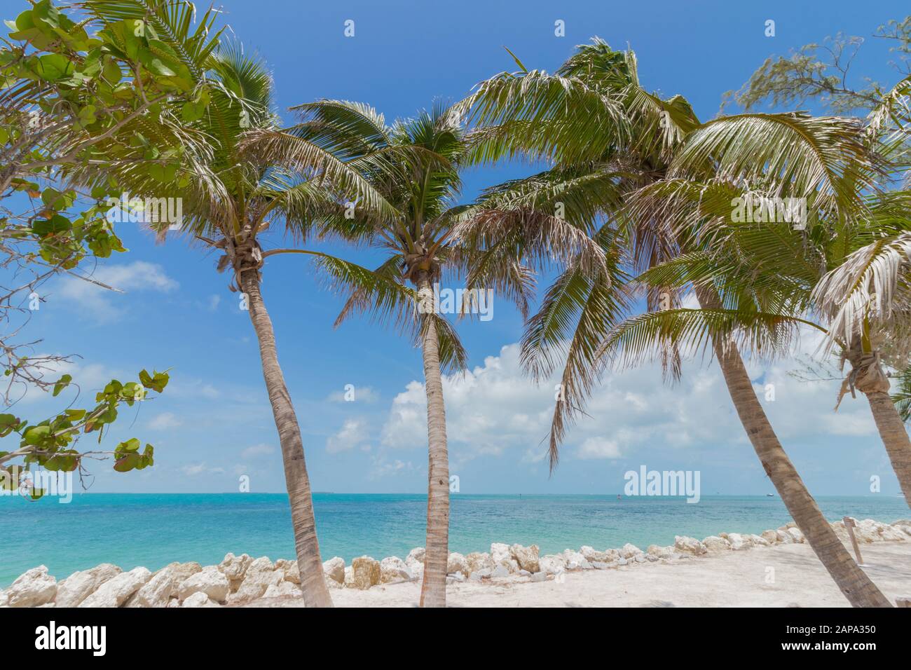 Key West Foto Stock