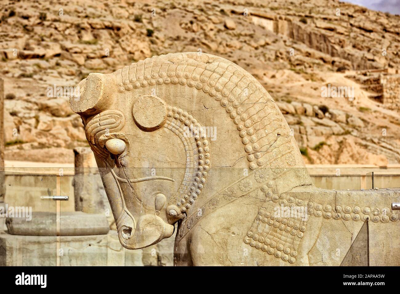 Scultura di cavallo persiano. Apadane palazzo. Persepolis, Shiraz - Iran Foto Stock