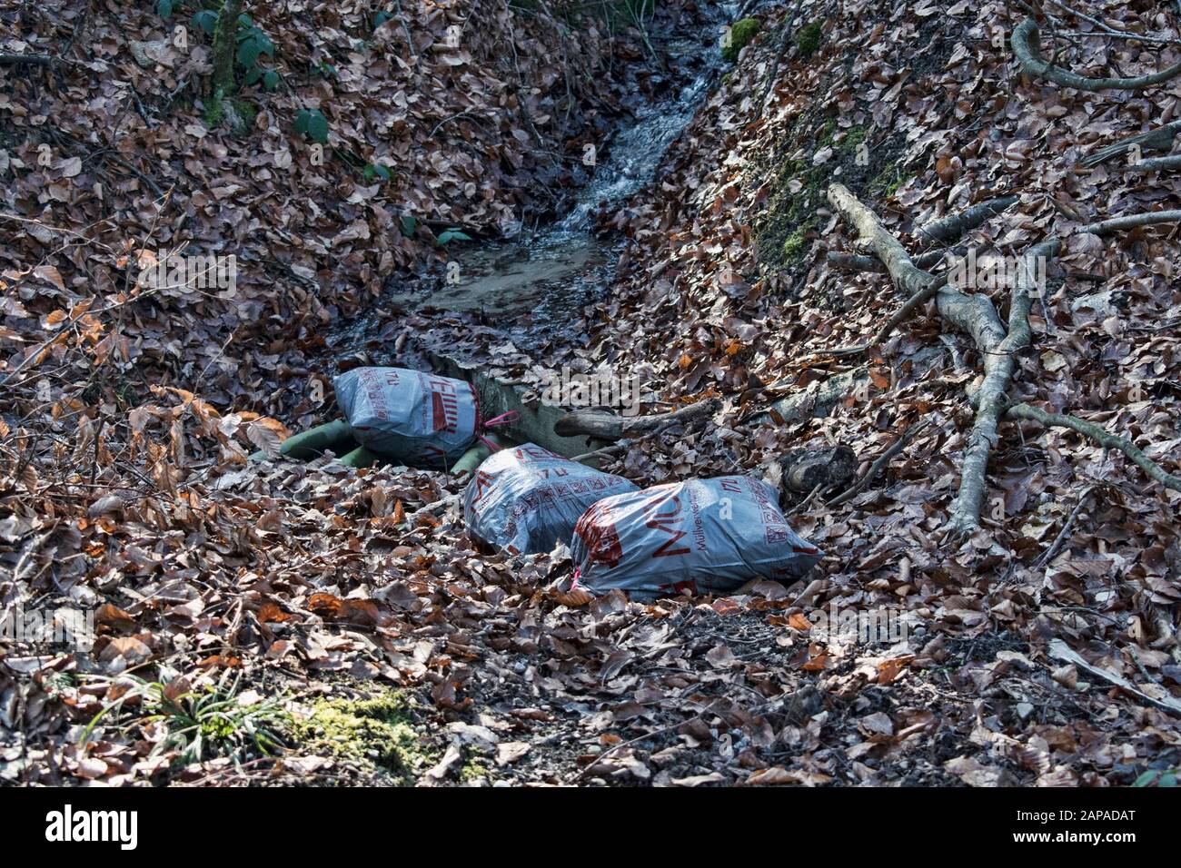 Sacchi di rifiuti illegalmente smaltiti nella foresta, brutto littering in svizzera Foto Stock