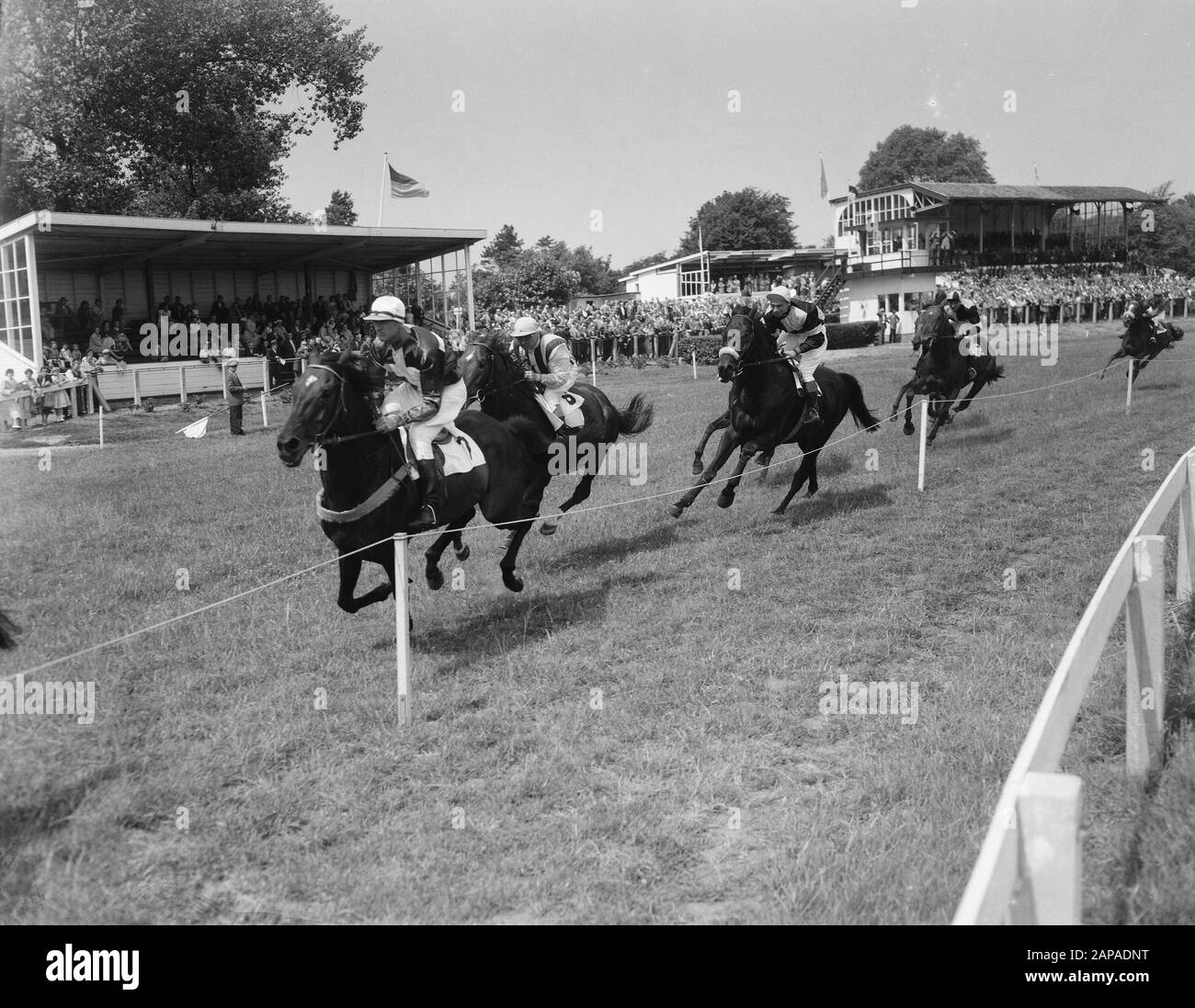 Corsi Op Duindigt Data: 14 Luglio 1957 Nome Dell'Istituzione: Duindigt Foto Stock