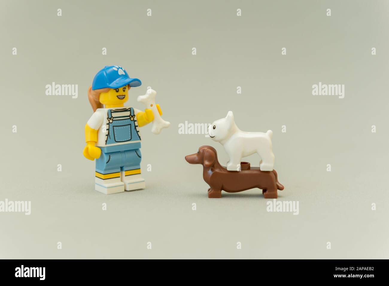 Florianopolis - Brasile, 5 maggio 2019: Minisillustrazioni Lego di due cani  (pug e dachshund) alla ricerca di una bambina che tiene un osso. Un cane  sopra l'altro Foto stock - Alamy