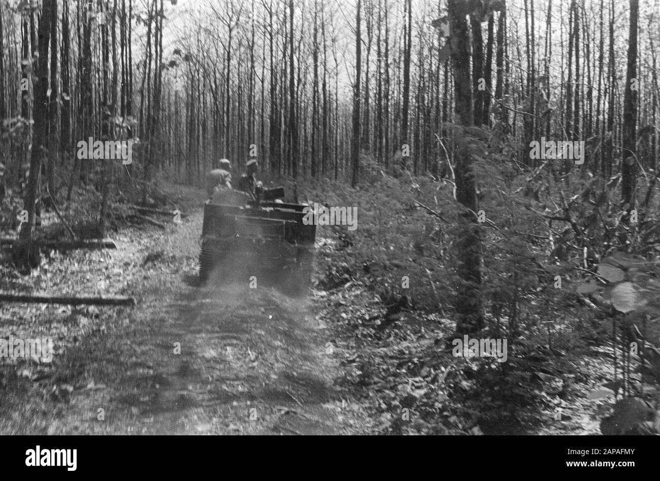 Brucarriers guidare attraverso la giungla Data: 1948/10/01 luogo: Indonesia, Indie orientali olandesi Foto Stock