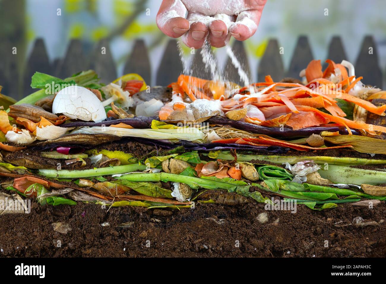 Maschio lato aggiunta di calce per un mucchio di composto per aumentare la velocità riducendo in concime organico costituito da marciume avanzi di cucina Foto Stock