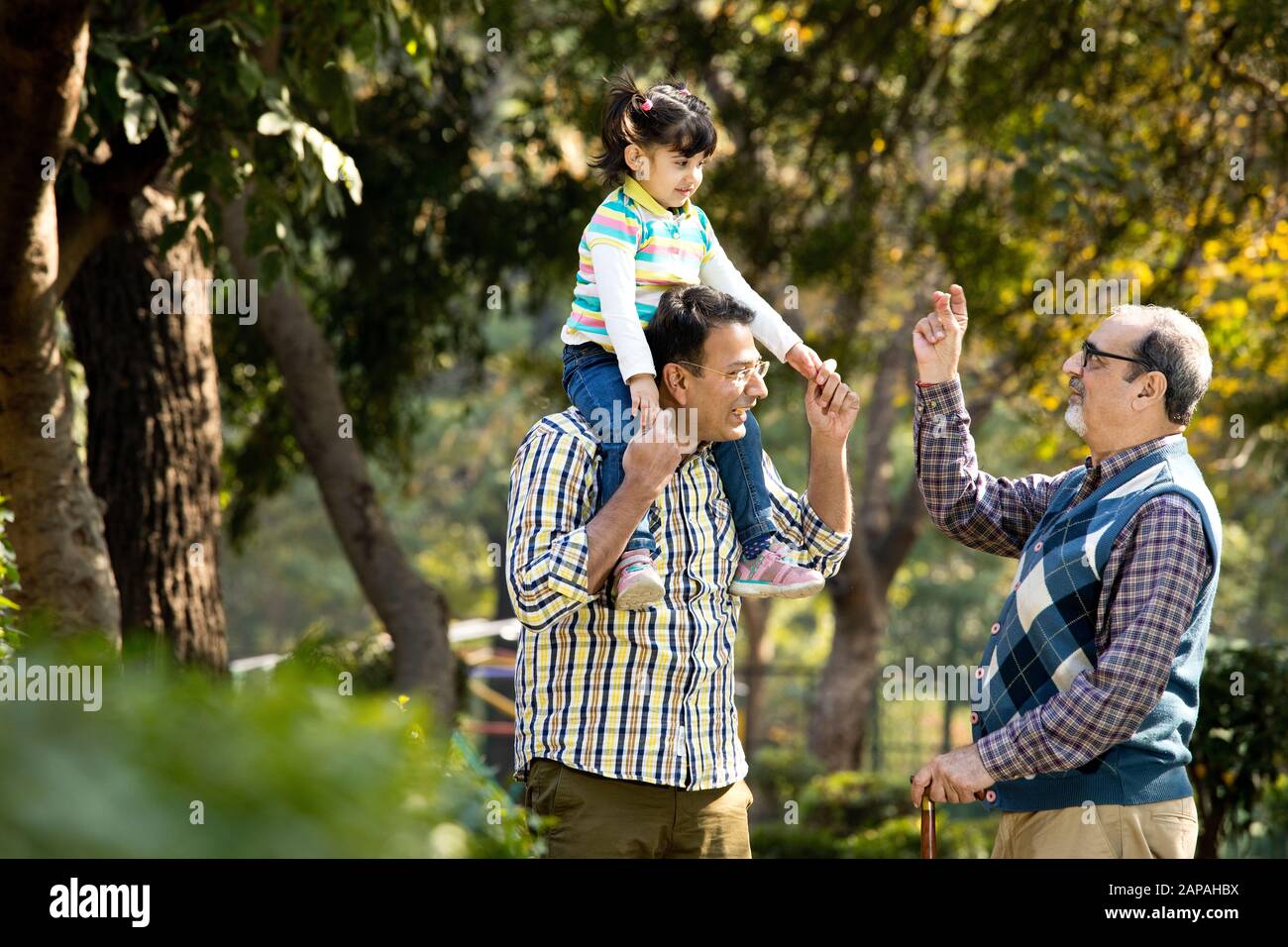 Felice famiglia indiana multi generazione al parco all'aperto Foto Stock