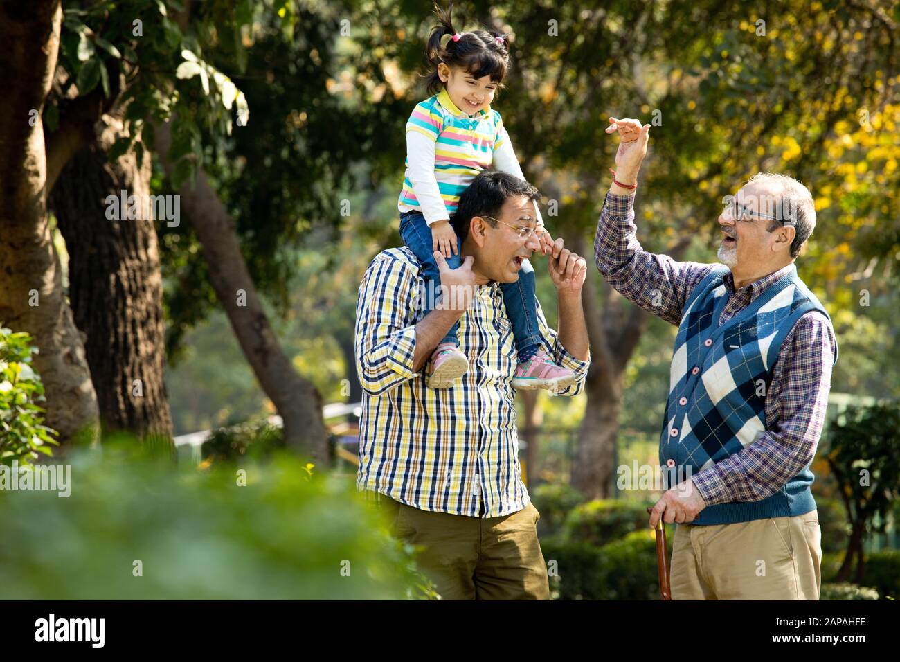 Felice famiglia indiana multi generazione al parco all'aperto Foto Stock