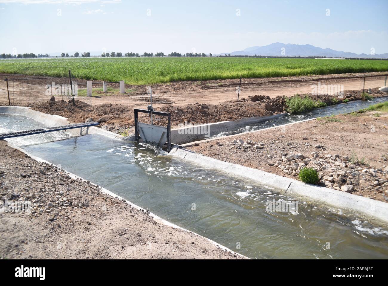 I sistemi dei canali di irrigazione agricoli dell'Arizona Foto Stock