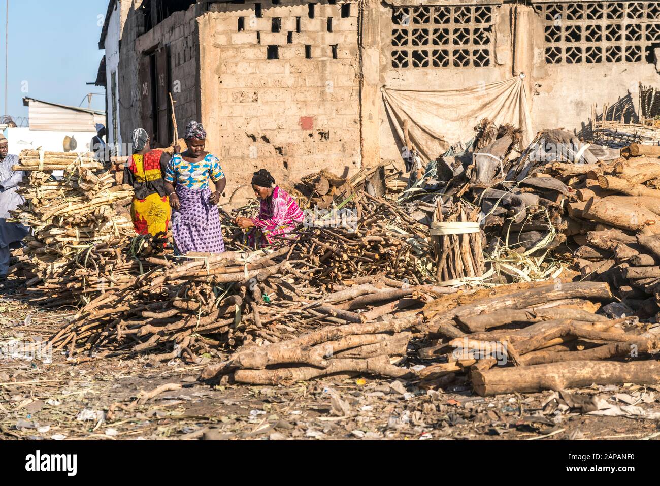 Verkauf von Brennholz auf dem Markt in Tanji, Gambia, Westafrika | vendita di legna da ardere sul mercato a Tanji, Gambia, Africa occidentale, Foto Stock