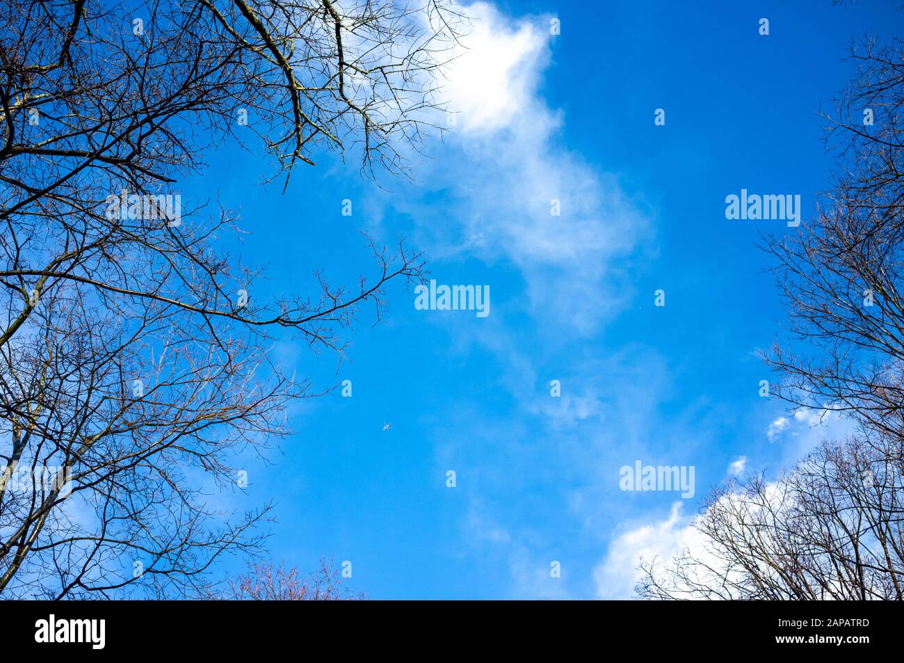 inverno cielo blu con piccole nuvole e un aereo in faraway Foto Stock