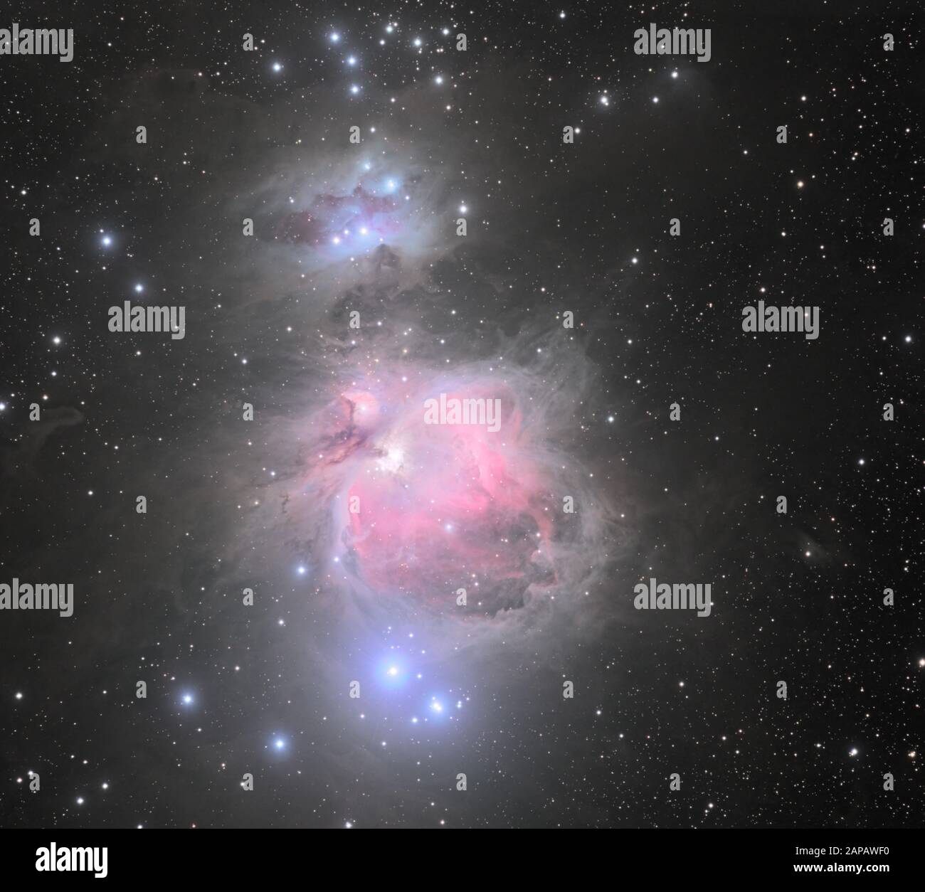 La nebulosa di Orione Foto Stock