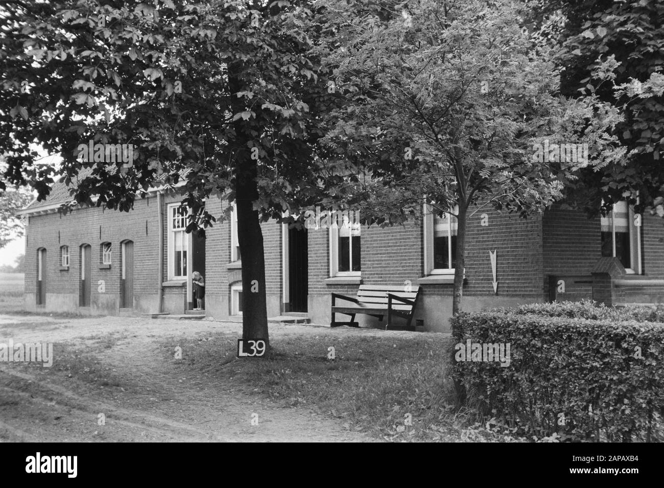 Servizi Culturali A Punti Fissi Descrizione: Fattoria Vicino Lichtenvoorde Annotazione: L-39. Data: Giugno 1954 Luogo: Gelderland, Lichtenvoorde Parole Chiave: Consolidamento Del Terreno, Terrewaterfitting Foto Stock