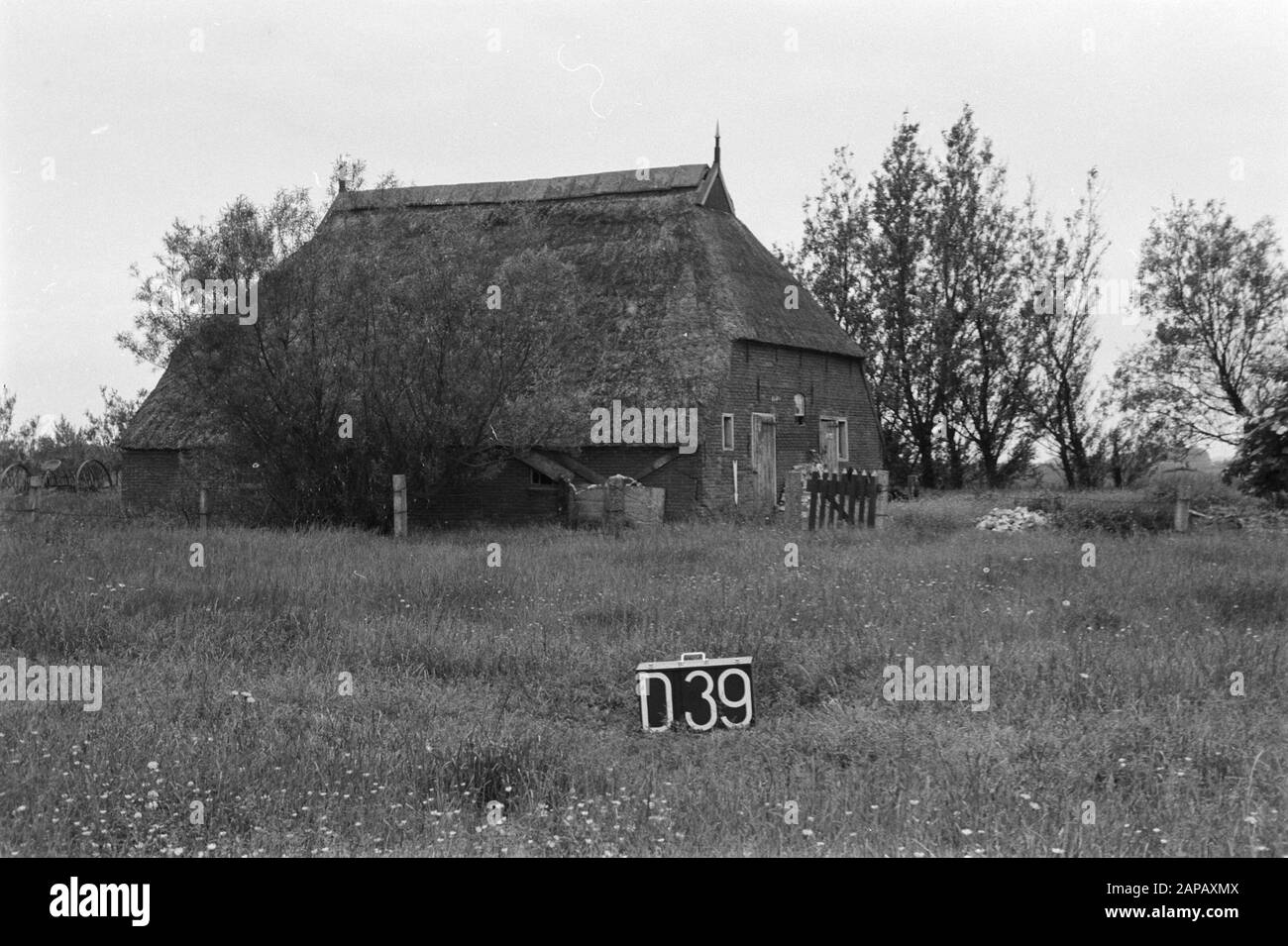 Punti fissi Culturtechnische dienst Descrizione: Farm [swailverland Rinsumageest] Annotation: D-39 Arrow indica un punto fisso Data: Giugno 1954 luogo: Dokkum, Friesland, Rinsumageest Parole Chiave: Consolidamento del terreno, adeguamento dell'acqua del terreno Foto Stock