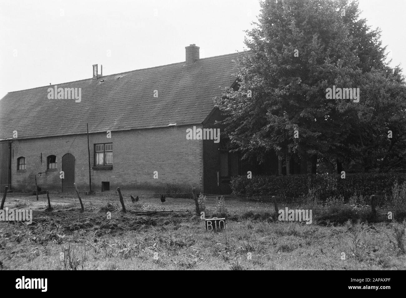 Servizi Culturali A Punti Fissi Descrizione: Azienda Agricola A Bergeijk (Suddivisione Enderheide-Beekerheide) Annotazione: B-10. Parole chiave: Consolidamento del terreno, regolazione dell'acqua del terreno Foto Stock Servizi Culturali A Punti Fissi Descrizione: Azienda Agricola A Bergeijk (Suddivisione Enderheide-Beekerheide) Annotazione: B-10. Parole chiave: Consolidamento del terreno, regolazione dell'acqua del terreno Foto Stock