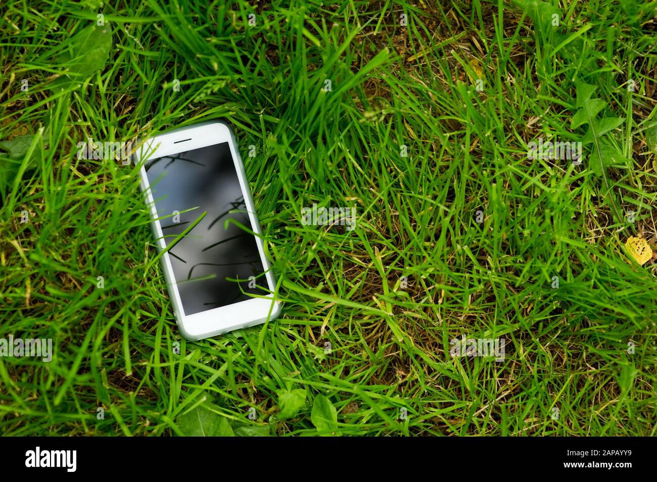 uno smartphone bianco con schermo bloccato si trova nell'erba. Telefono  perso. Spazio di copia Foto stock - Alamy