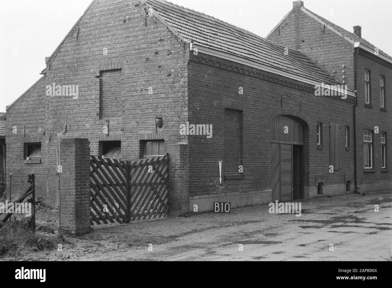 Punti fissi Servizio culturale Descrizione: Fattoria vicino Nato (Nieuwstadt swap) Annotazione: B-10 freccia indica un punto fisso Data: Dicembre 1954 luogo: Nato, Limburgo Parole Chiave: Aziende agricole, consolidamento del terreno, cambiamenti di acqua del terreno Foto Stock