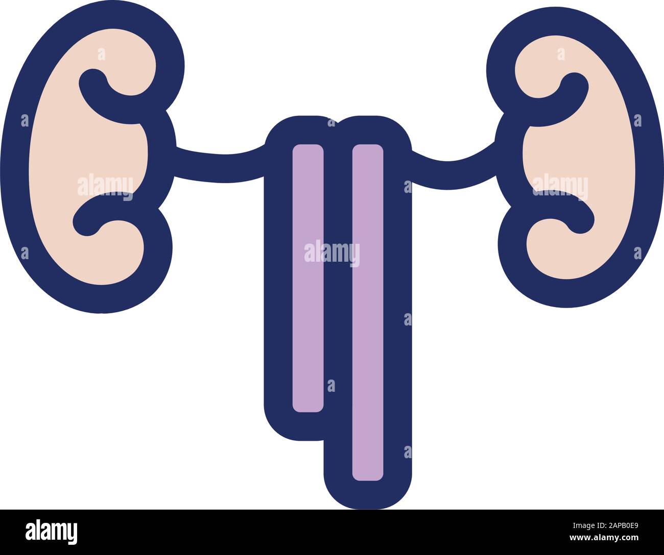 reni organo umano isolato icona Illustrazione Vettoriale