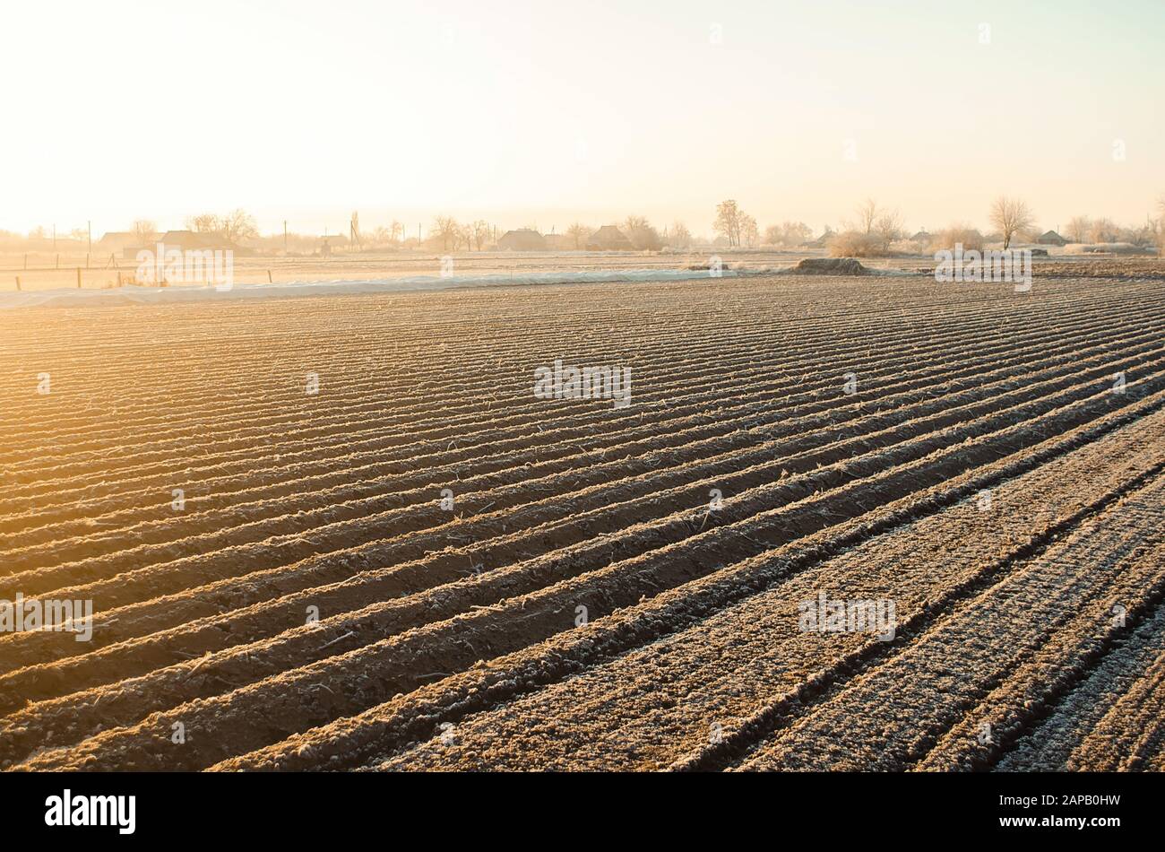 Campo di fattoria invernale pronto per la nuova stagione di semina. Lavori agricoli preparatori per la primavera. Agricoltura e agroalimentare. Scegliere il momento giusto per la scrofa f Foto Stock