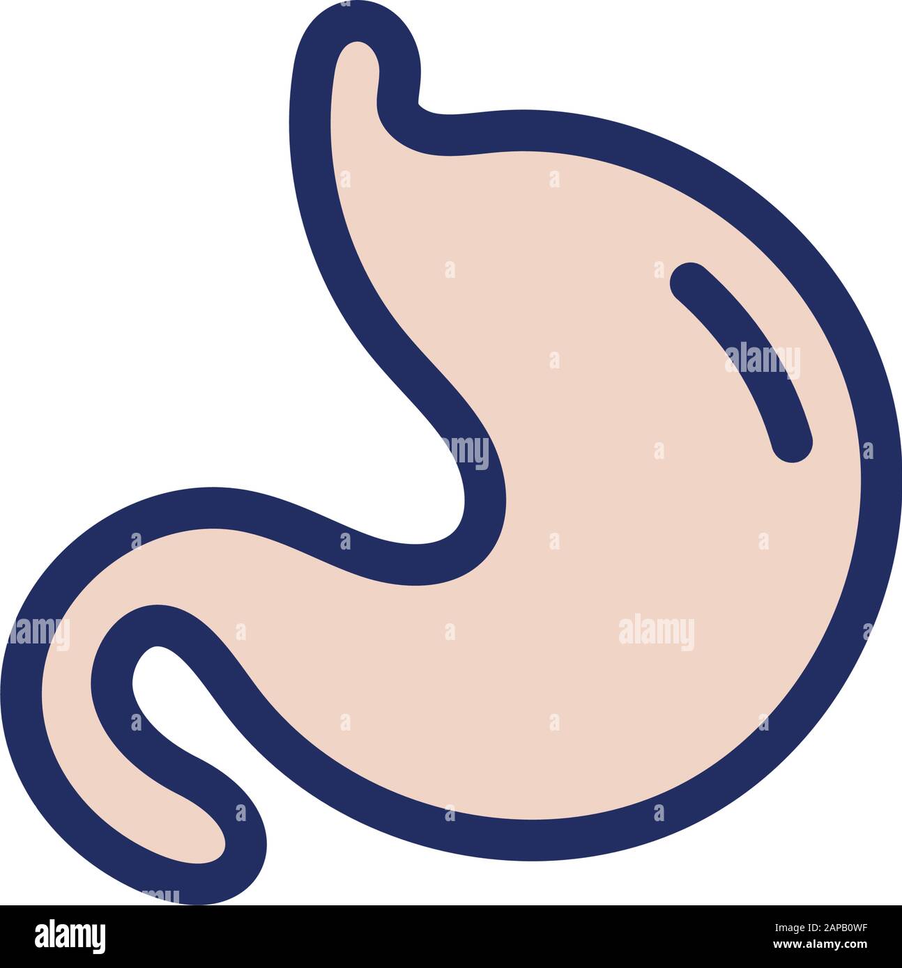 stomaco umano organo isolato icona Illustrazione Vettoriale