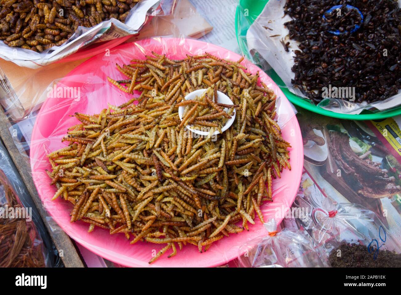 Insetti dryed cibo in vendita stallo nel mercato Thailandia Chiang mai città Foto Stock