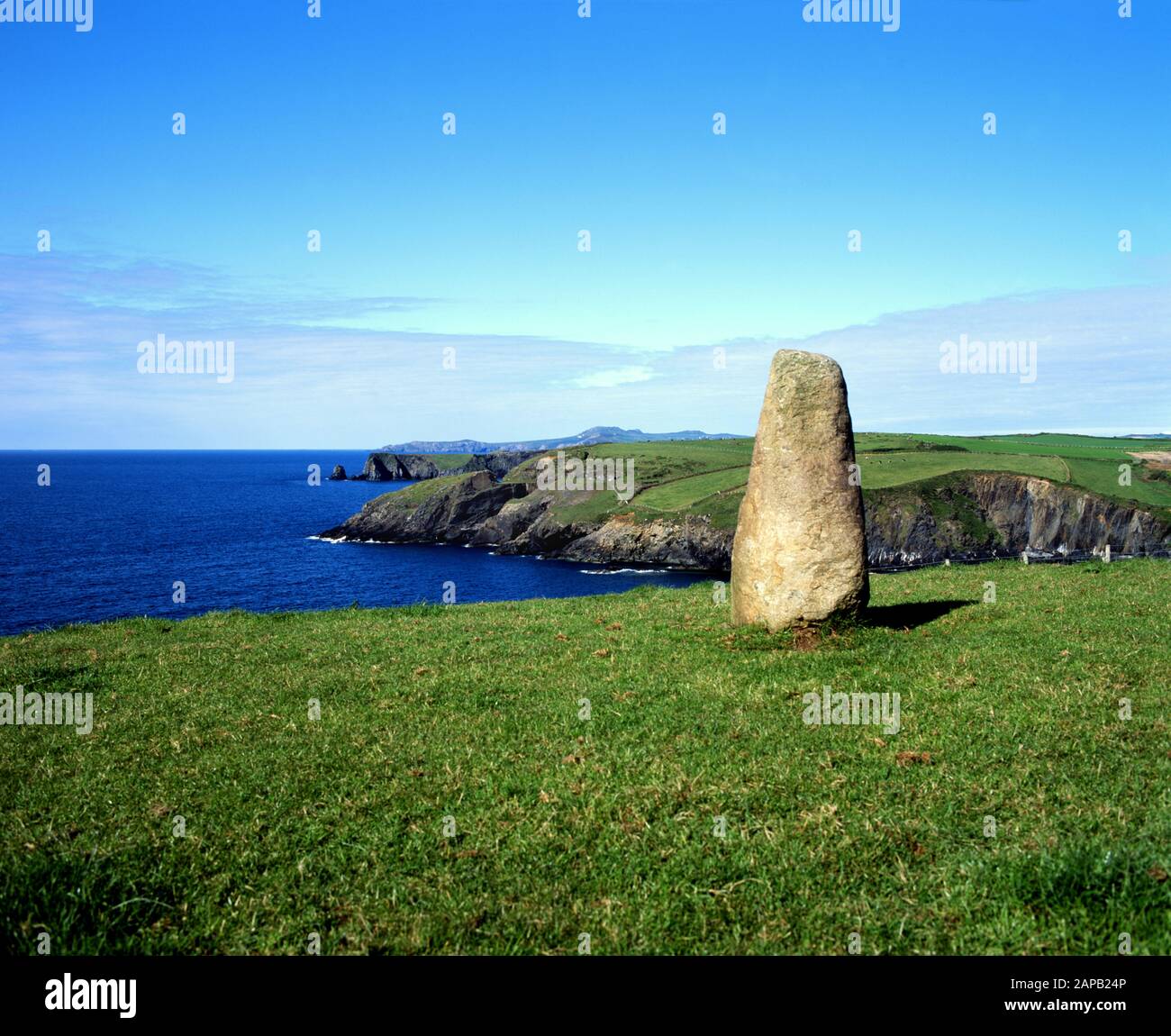 Pietra in piedi sulla scogliera, Trefin, Pembrokeshire, Galles occidentale. Foto Stock