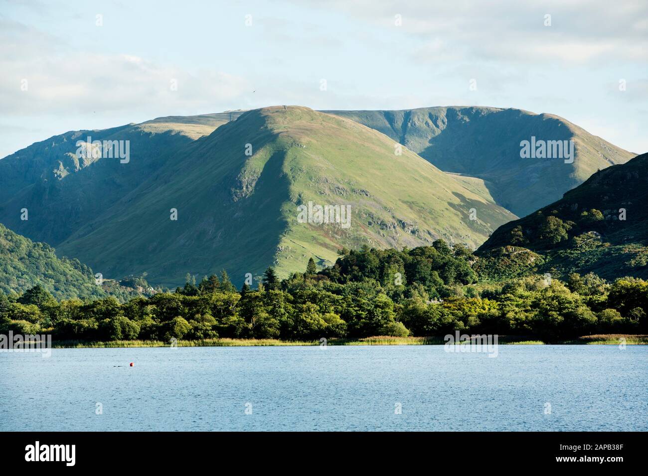 Hartsop Dodd in una giornata estiva, Ullswater, Lake District Foto Stock
