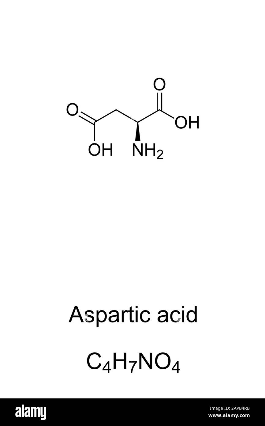 Molecola di acido aspartico, formula scheletrica. Struttura di ASP, C4H7NO4. Forma ionica nota come aspartato. Neurotrasmettitore. Foto Stock