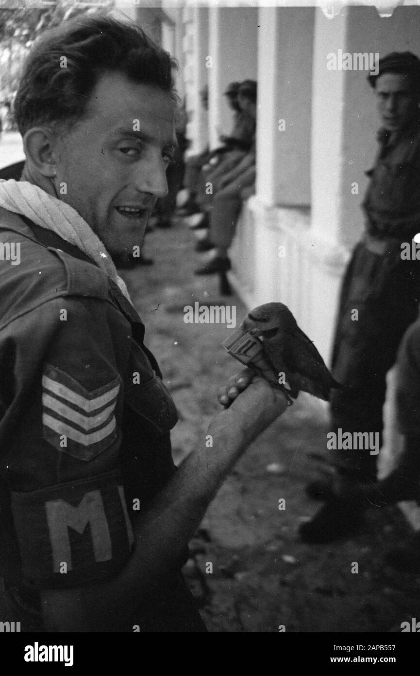 Durante l'anticipo nel settore Surabaya Descrizione: Questo betet, un piccolo tipo di pappagallo, non sa cosa significa MP. Questo è probabilmente il motivo per cui si siede così amichevole sulla mano del sergente Joop Luijk di Nijmegen. I soldati preferiscono stare fuori da MP-Hands Away Data: 1948/12/01 Ubicazione: Indonesia, Java, Indie Orientali Olandesi, Surabaya Foto Stock
