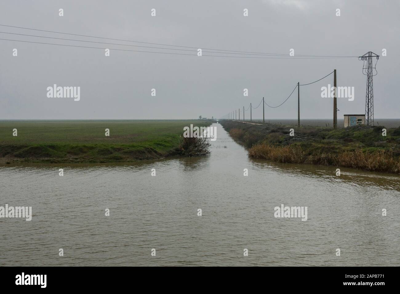 Canale di irrigazione nel parco nazionale di Donana, Huelva, Andalusia, Spagna. Foto Stock