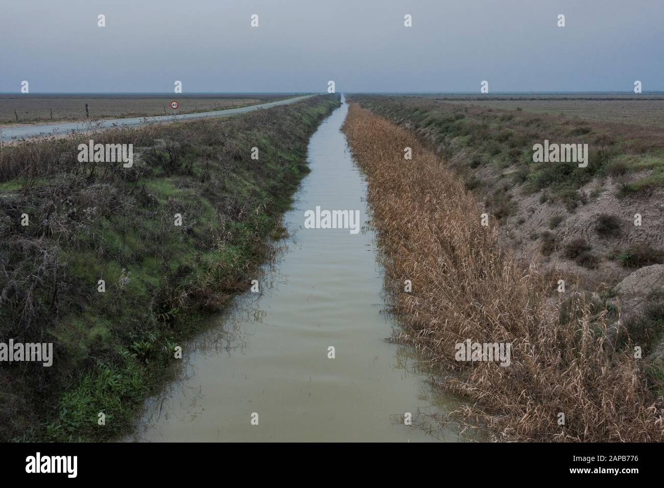 Canale di irrigazione nel parco nazionale di Donana, Huelva, Andalusia, Spagna. Foto Stock