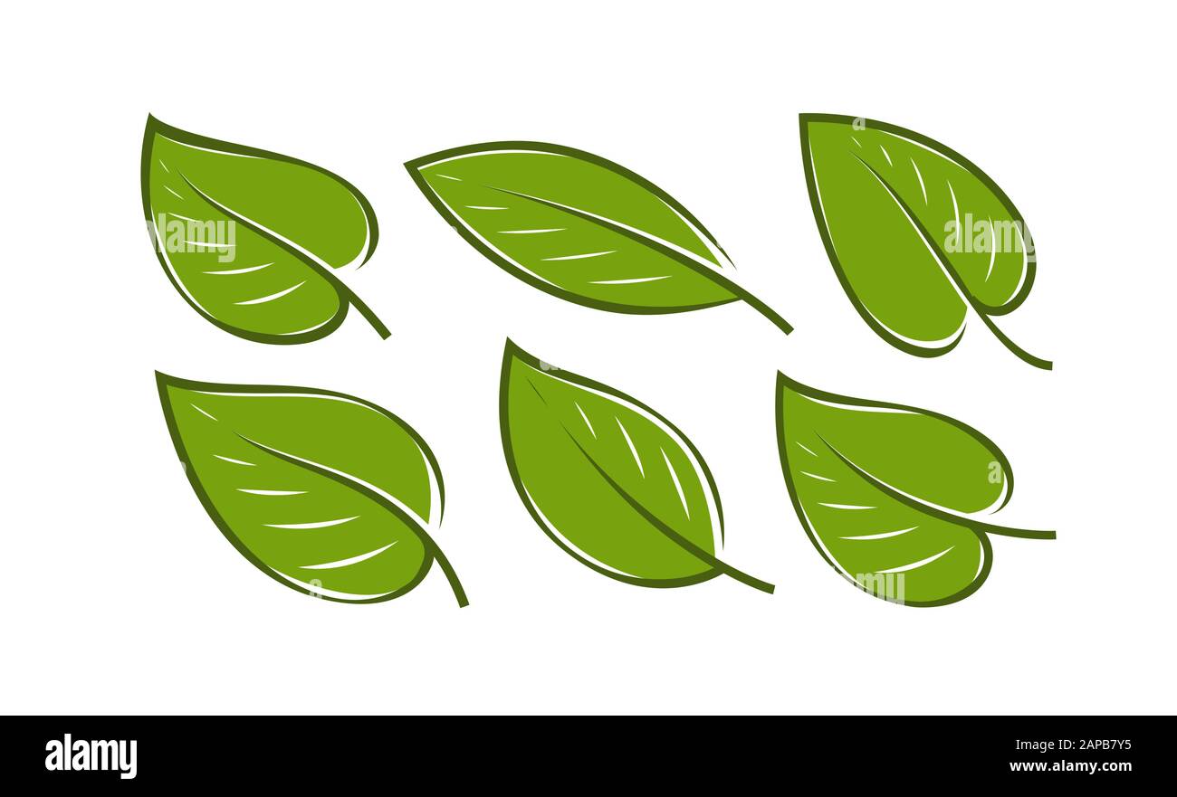 Set di foglie verdi . Logo della natura o immagine vettoriale delle icone Illustrazione Vettoriale