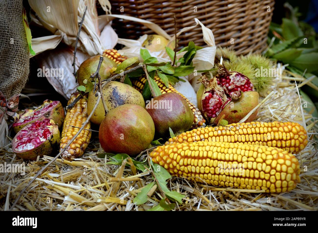Autunno A Barbagia - Meana Sardo Foto Stock