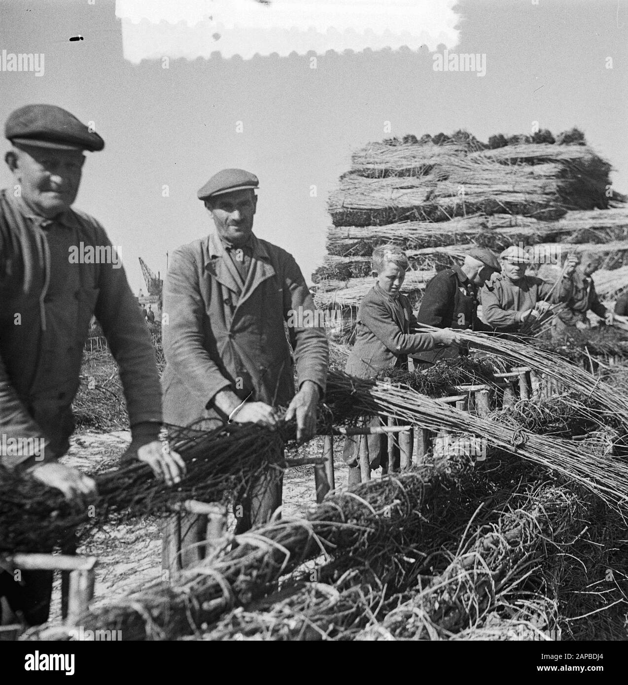 Lo Schelphoek Su Schouwen. Film Making zinco pieces Data: 9 luglio 1953 luogo: Schouwen-Duiveland, Zeeland Parole Chiave: ZINKPIECS Foto Stock