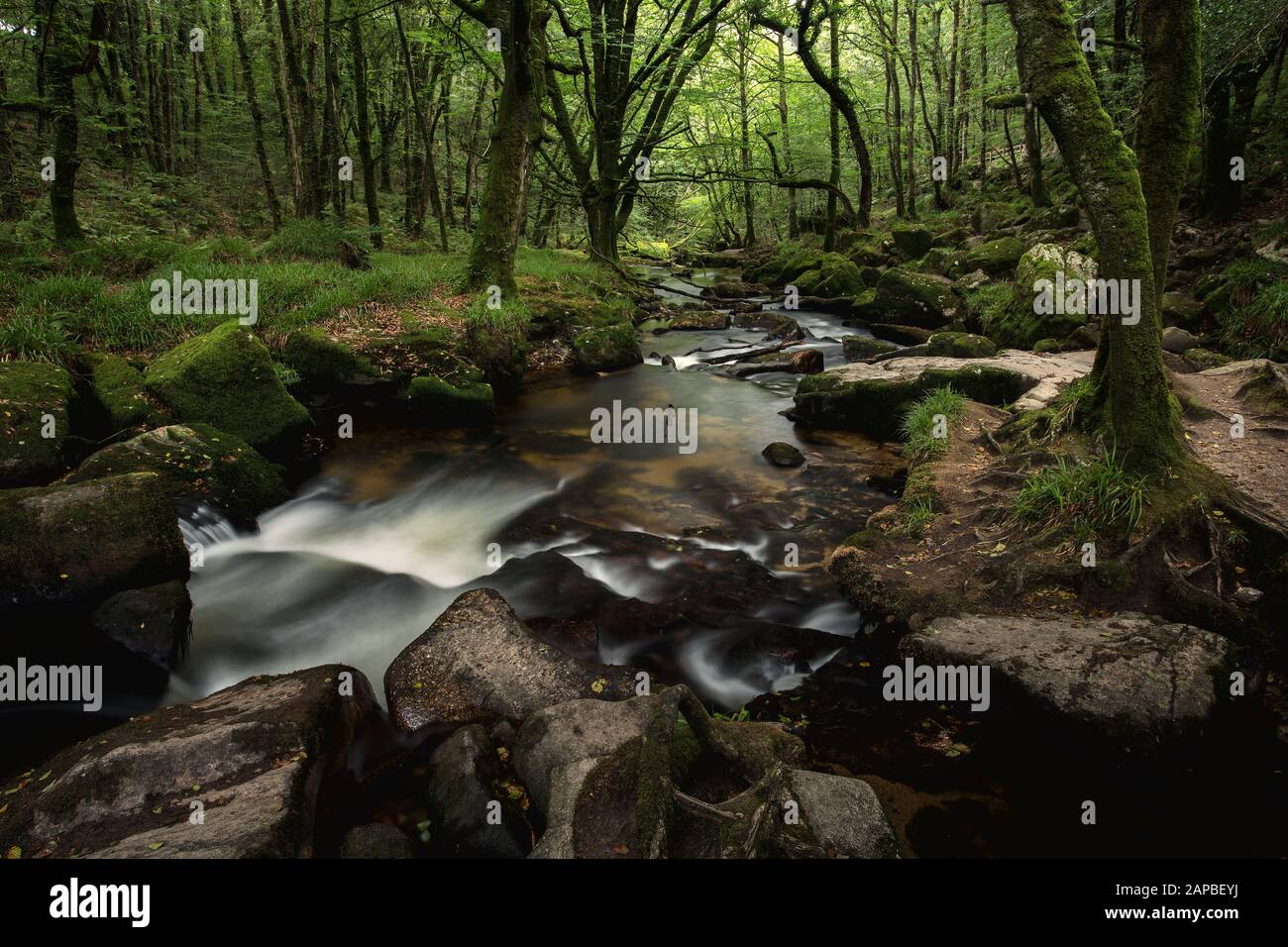 Golitha Falls in estate Cornwall Uk Foto Stock