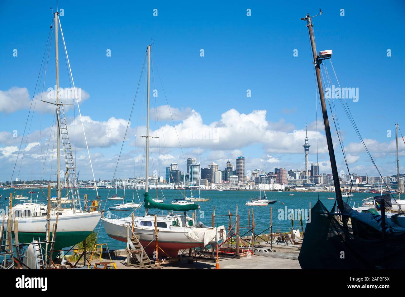 Affacciato sul porto di Waitemata, nel centro di Auckland, dalla North Shore, Nuova Zelanda. Foto Stock